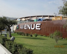 avenue_8